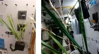 字母哥至今英超出牌最多引热议(字母哥承认可能离队!是否续约取决于雄鹿运作)|